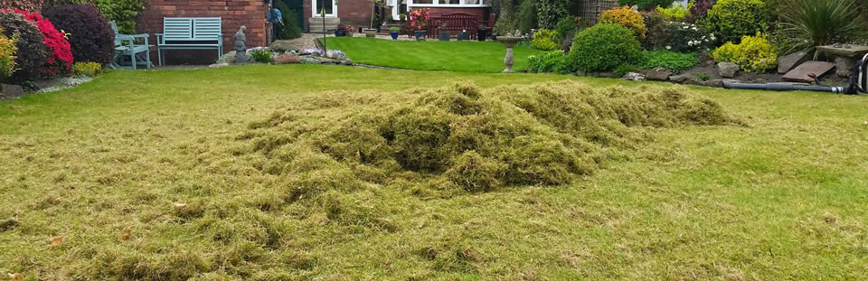 Scarifying