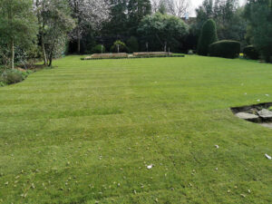 Full Landscaping, Beaconsfield