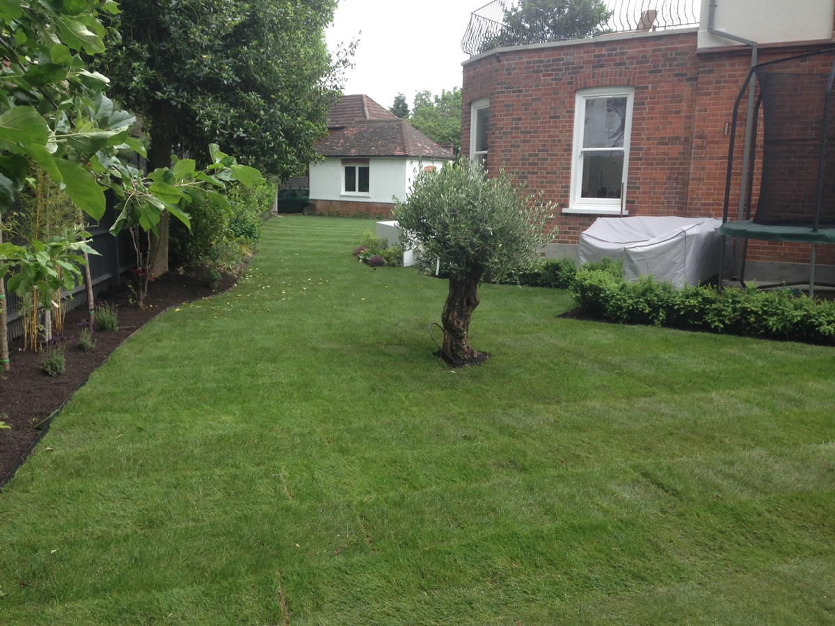 Back Garden Turfing, North London
