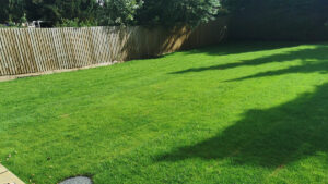 Full Returf, Beaconsfield