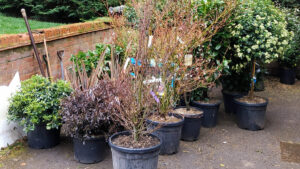Full Returf & Planting, Flackwell Heath