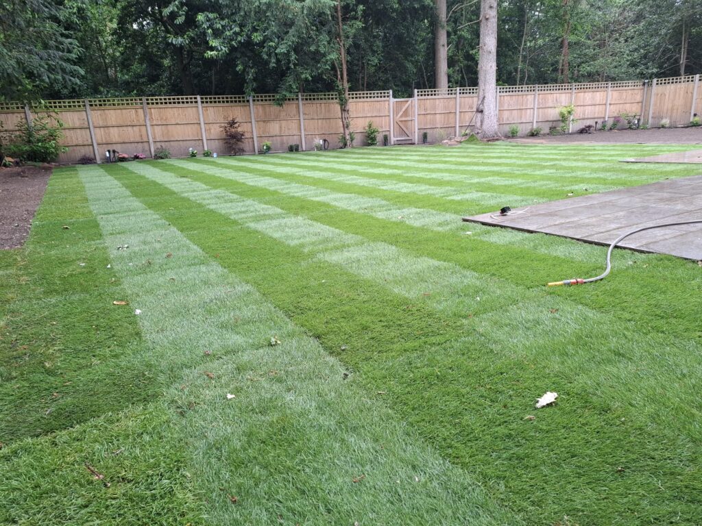 Expert Turfing & Lawn Installation